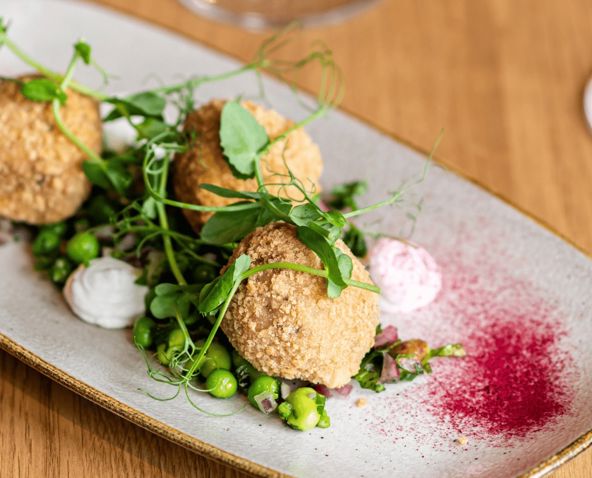 Resized imagery for website - 2026-02-13T105140.274.jpeg