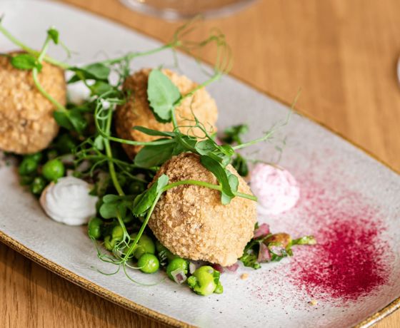 Resized imagery for website - 2026-02-13T105140.274.jpeg