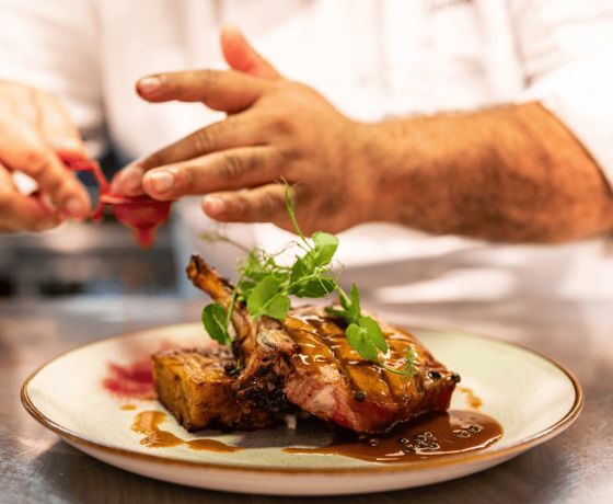 Resized imagery for website - 2026-02-13T105153.105.jpeg