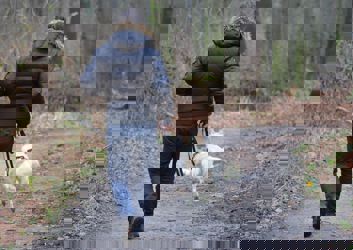 Hazelborough wood.jpeg