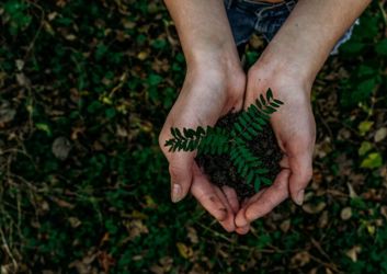 sustainability-in-the-hospitality-industry.jpg