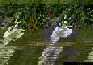 Daventry countrypark.jpeg