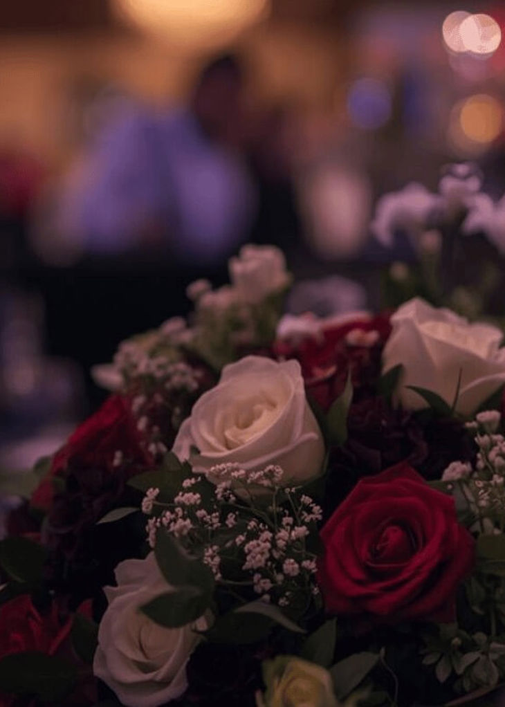 Resized imagery for website - 2026-03-24T085936.884.jpeg