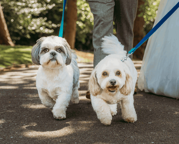 Credit Samantha Alice photography