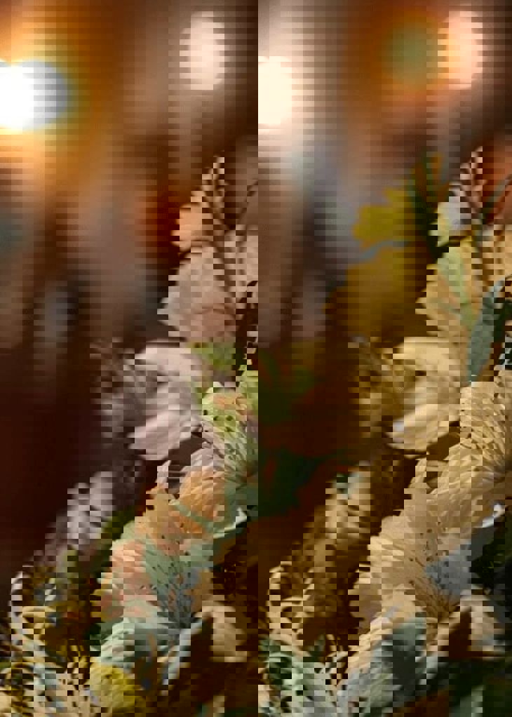 Resized imagery for website - 2026-03-24T085926.864.jpeg