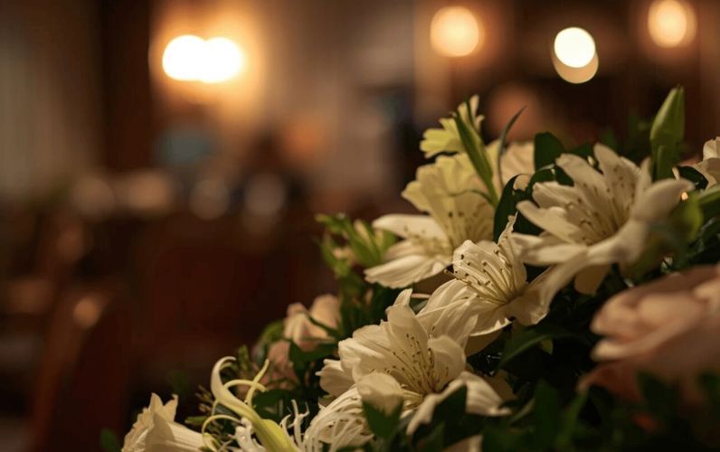 Resized imagery for website - 2026-03-24T085926.864.jpeg