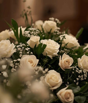 Resized imagery for website - 2026-03-24T085946.000.jpeg