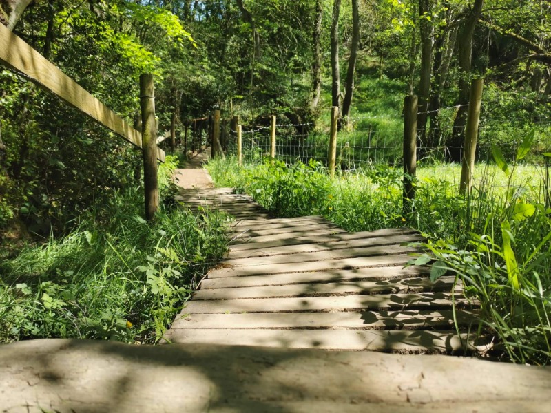 irchester country park